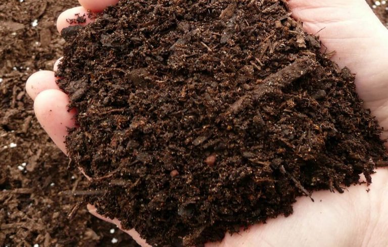 Dúvidas sobre Compostagem