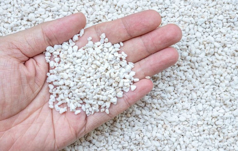 O que é a Perlite e como pode ser usada na horta