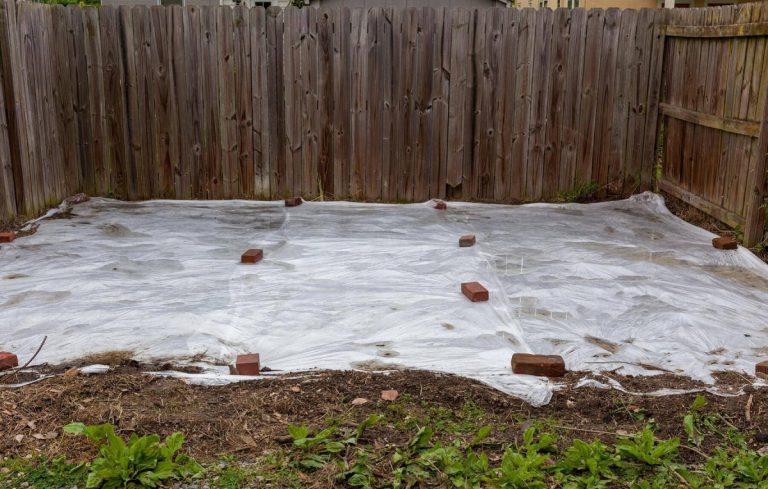 Solarização do solo