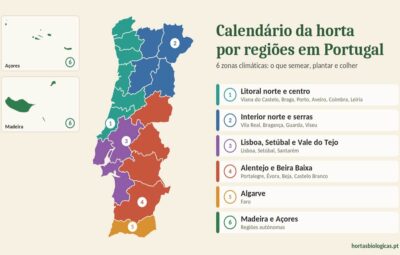 Mapa de Portugal com as seis zonas do calendário da horta por regiões, cada uma de uma cor