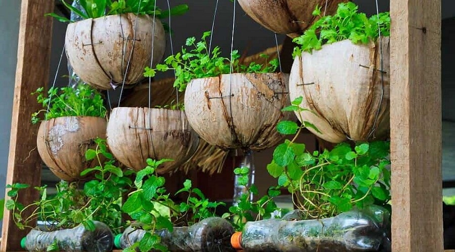 horta em casa recipientes reciclados