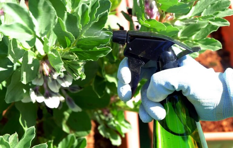 Receitas de inseticidas naturais para hortas caseiras