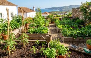 Horta em maio: Guia das tarefas essenciais